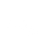06.png